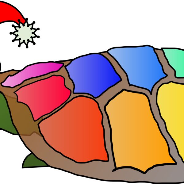 Machovka Funny turtle with santa hat Thumbnail