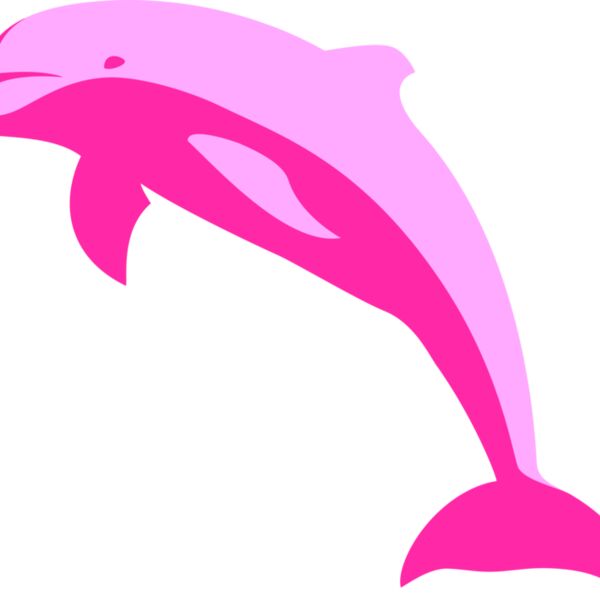 ha1flosse delphin delfin dolphin 1 Thumbnail