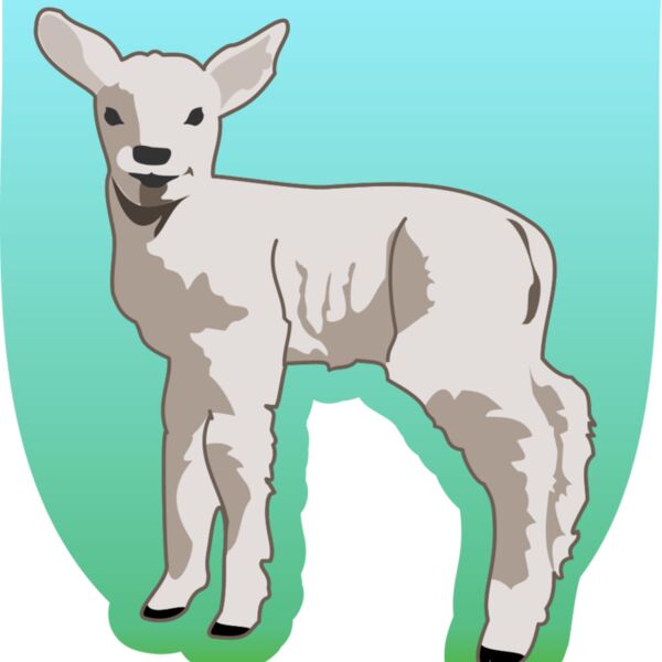 molumen young lamb Thumbnail
