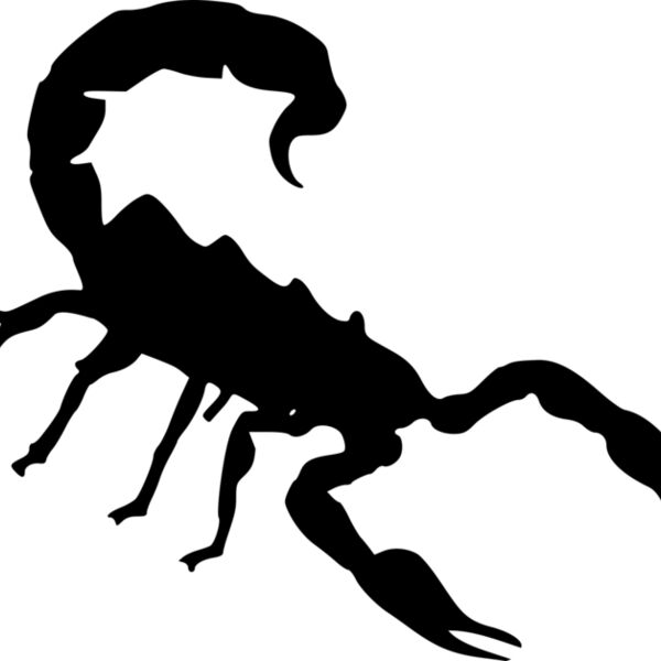 scorpion Thumbnail