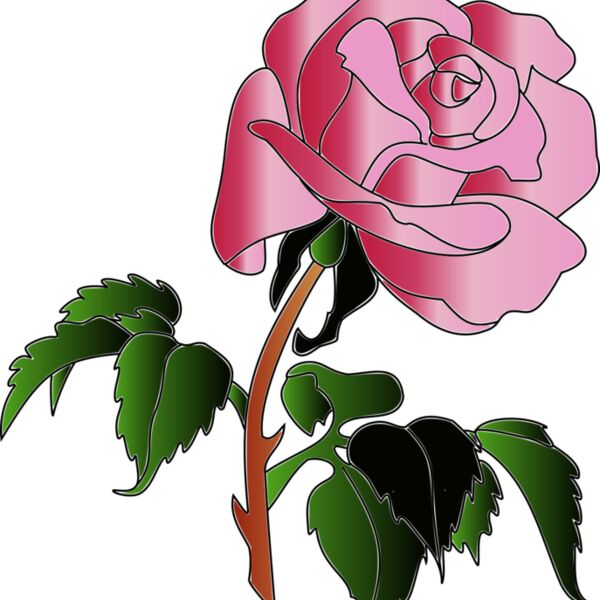 0016 aw rose070908 01 coloris  2  Thumbnail