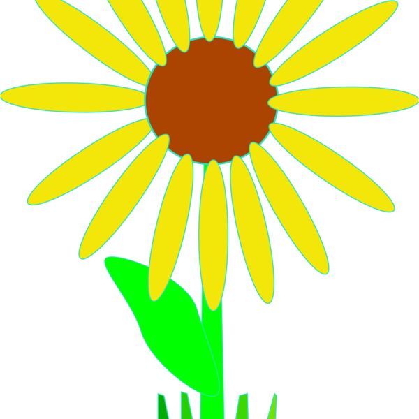 Machovka flower 1 Thumbnail