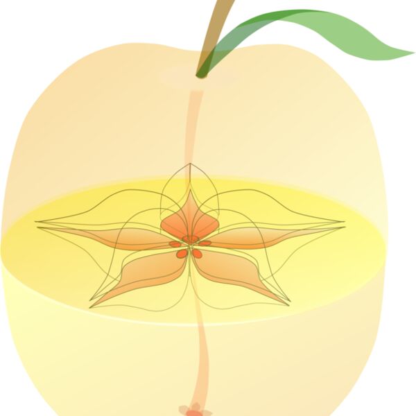 mediemil AppleAnatomy Thumbnail