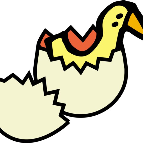 mcol chick from egg Thumbnail