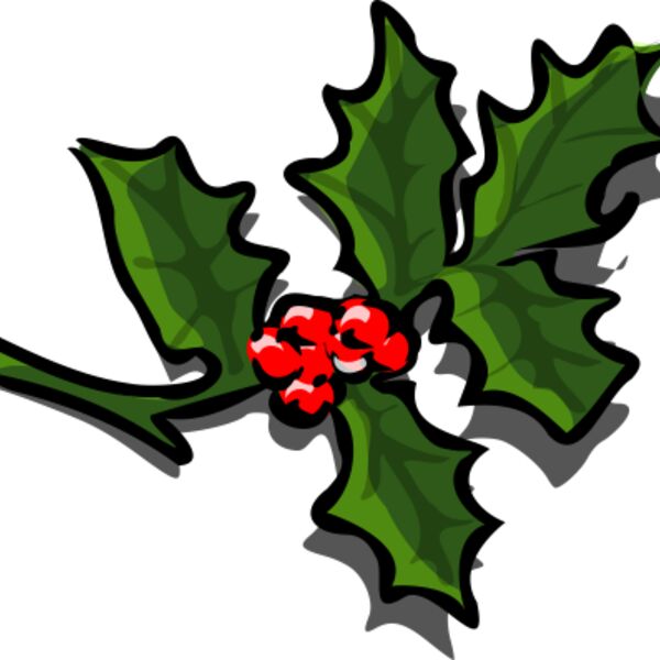 TheresaKnott Holly 2 Thumbnail