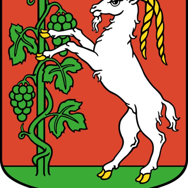 warszawianka Lublin   coat of arms Thumbnail