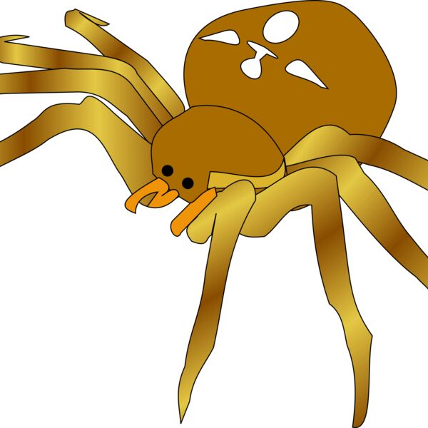 opensourcebear rodney the spider Thumbnail