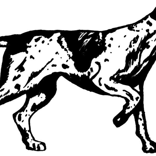 1298137186  2  Thumbnail