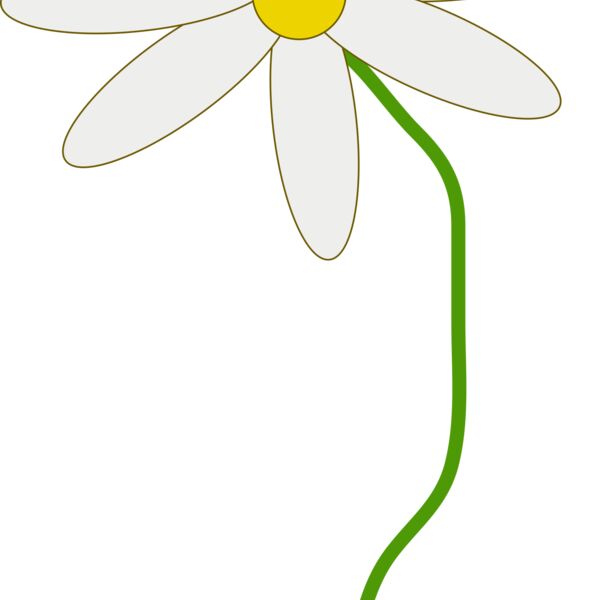 mcol flower in a pot Thumbnail