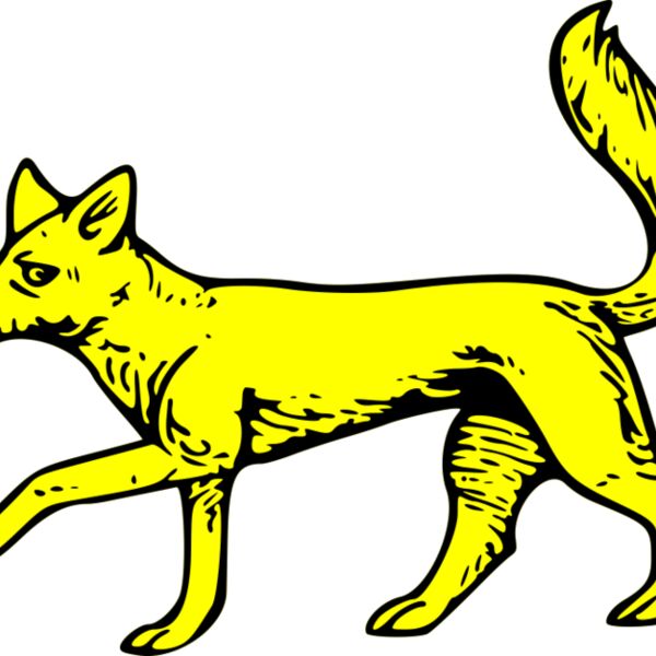 szquirrel fox passant Thumbnail