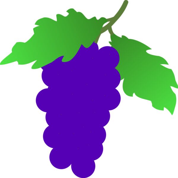 stuuf grapes Thumbnail