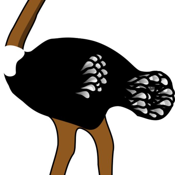 rpzboray ostrich Thumbnail