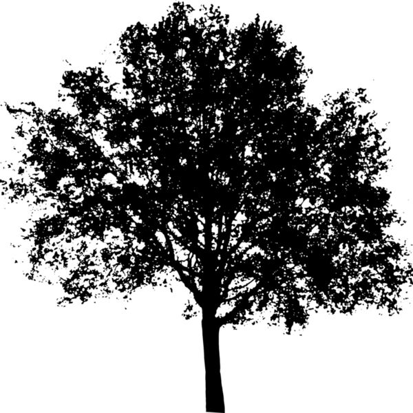 tree5 Thumbnail