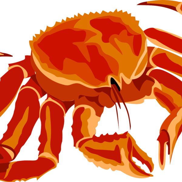 crab Thumbnail