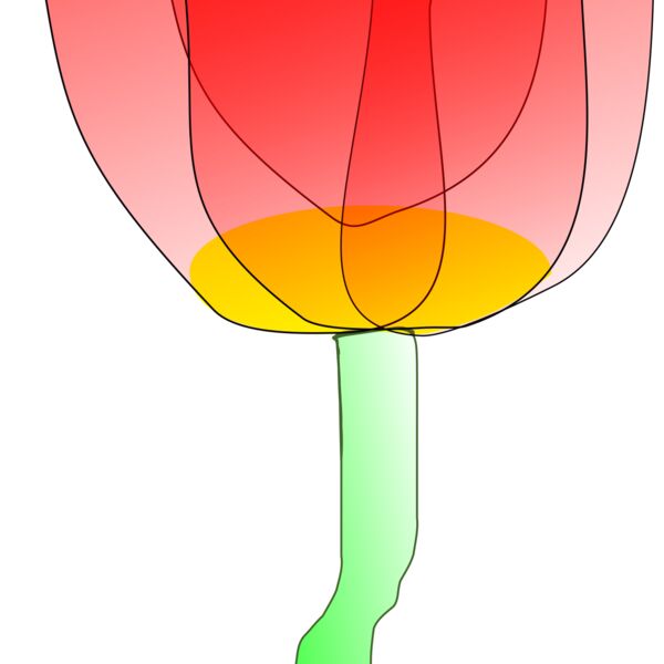 Machovka tulip Thumbnail