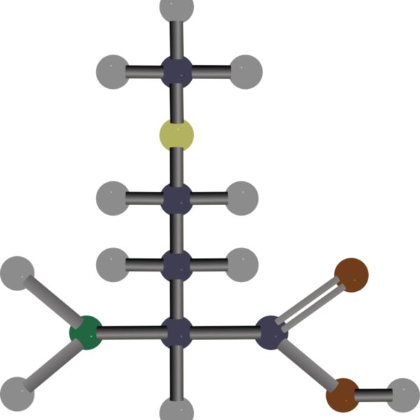 methionine Thumbnail