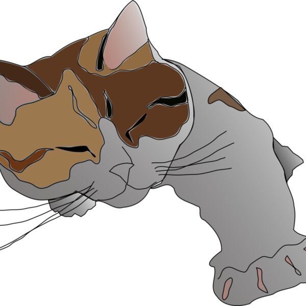 missiridia Sleepy Calico Cat Thumbnail