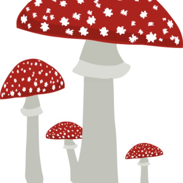 Mushrooms4 Thumbnail