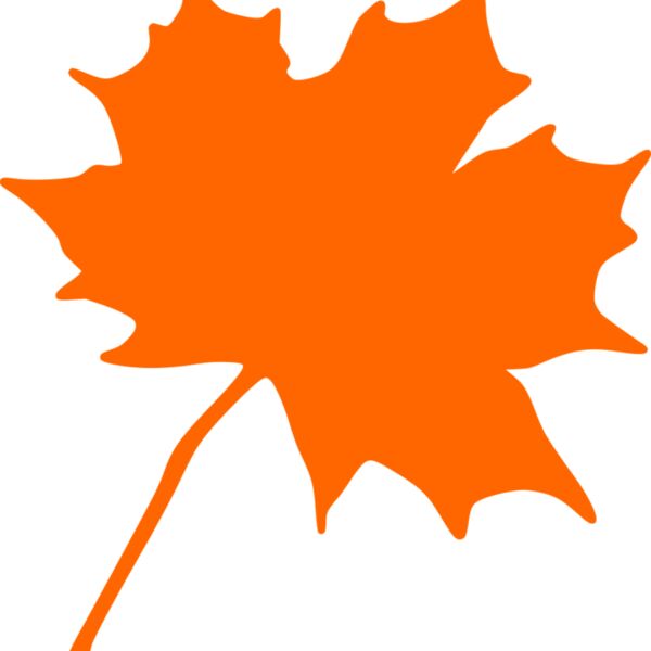 Maple leaf Thumbnail