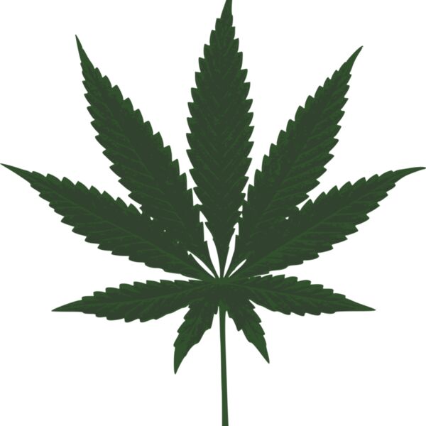 kotik cannabis leafs Thumbnail