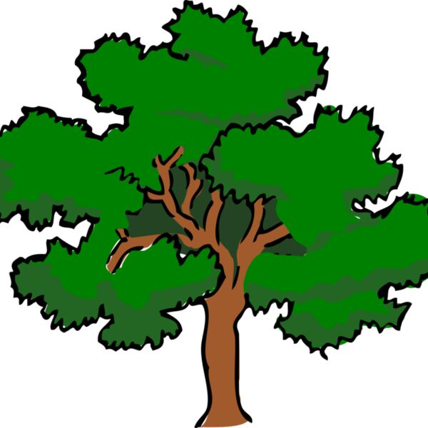 tree oak400px Thumbnail