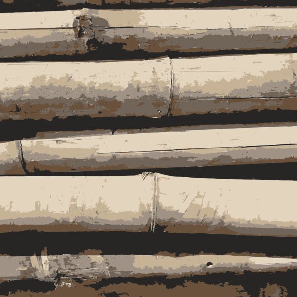 Bamboo Texture  2  Thumbnail