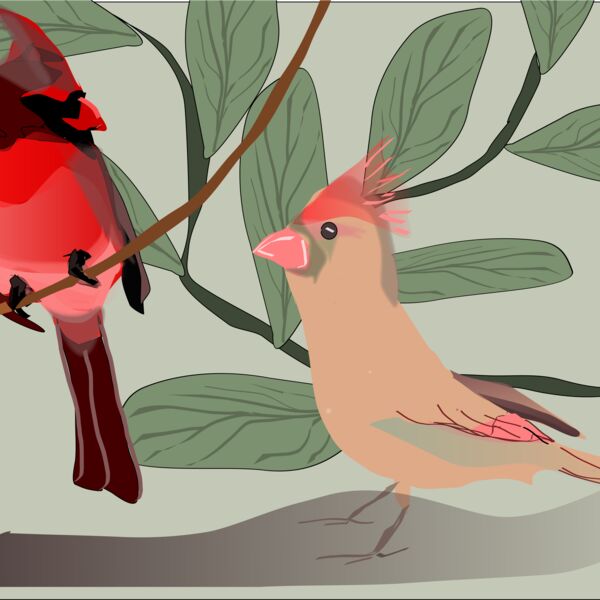 88dd96  2  Thumbnail