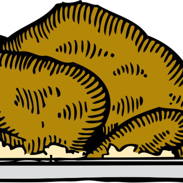 johnny automatic turkey platter Thumbnail