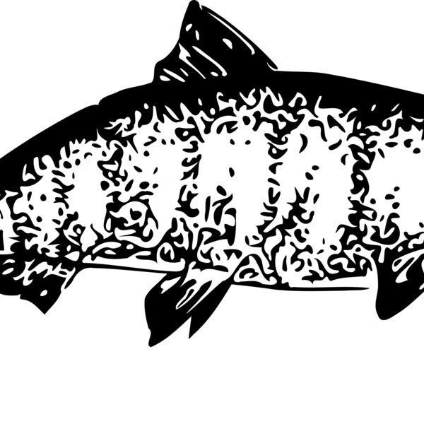 ryanlerch Chinook Salmon Thumbnail