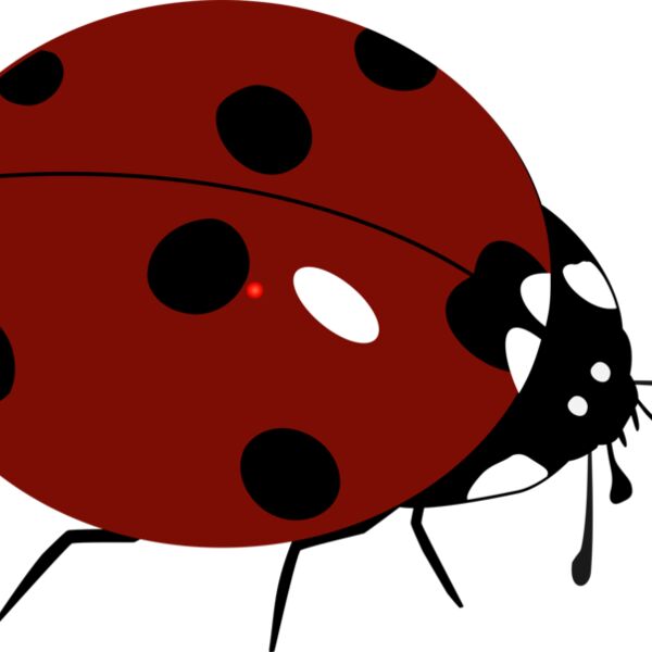 1368310520  2  Thumbnail