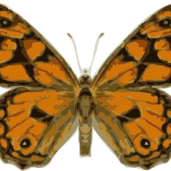 johnny automatic butterfly 2 Thumbnail