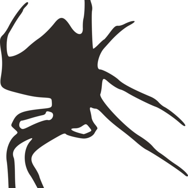 spider silhouette Thumbnail