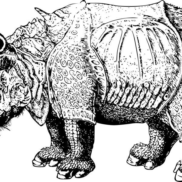 sclopit renaissance rhino Thumbnail