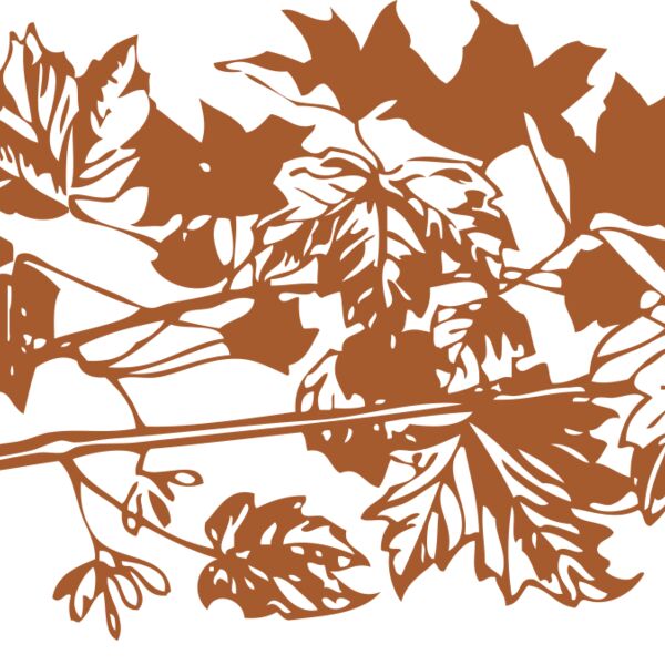 autumn leaves Thumbnail