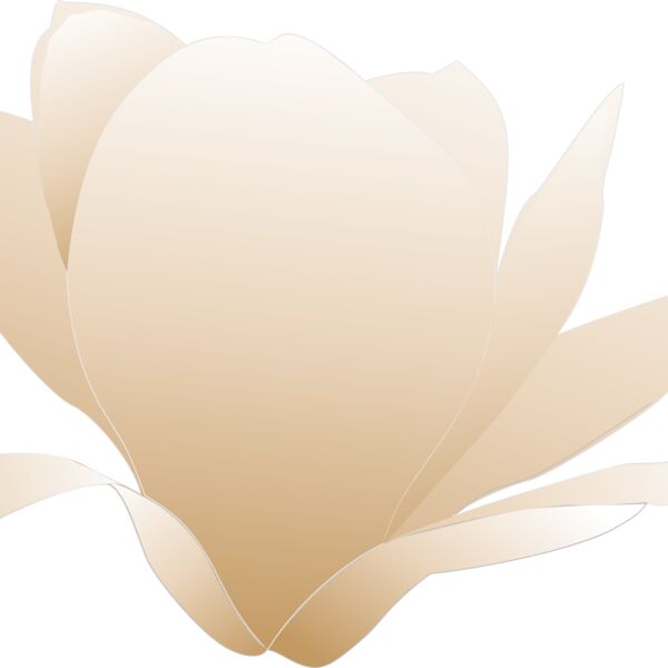 magnolia white patricia 03r Thumbnail