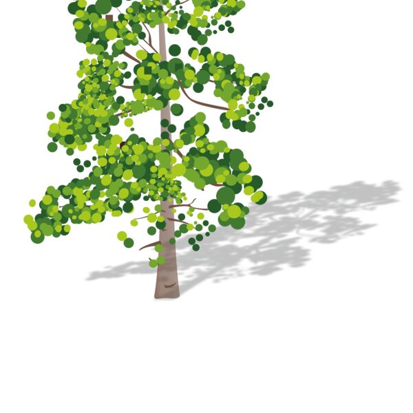 1322843598  2  Thumbnail