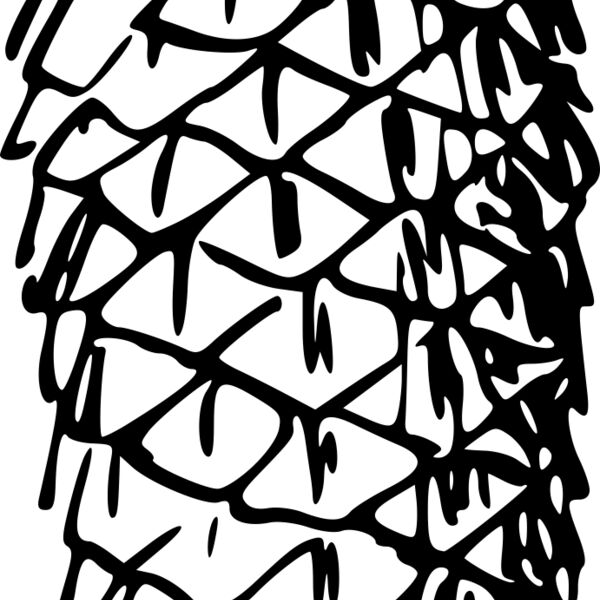 warszawianka Cone 1 Thumbnail