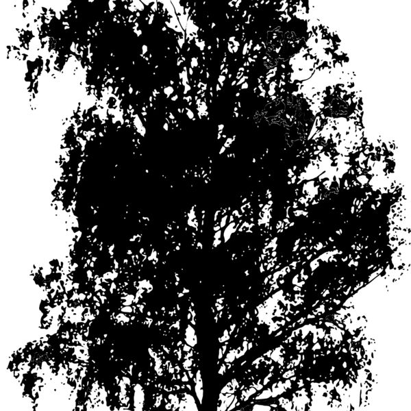 tree2 Thumbnail