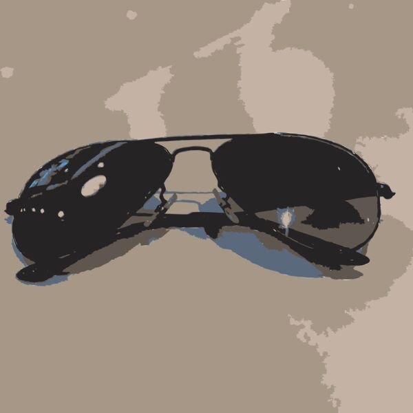 Sunglasses from another angle Thumbnail