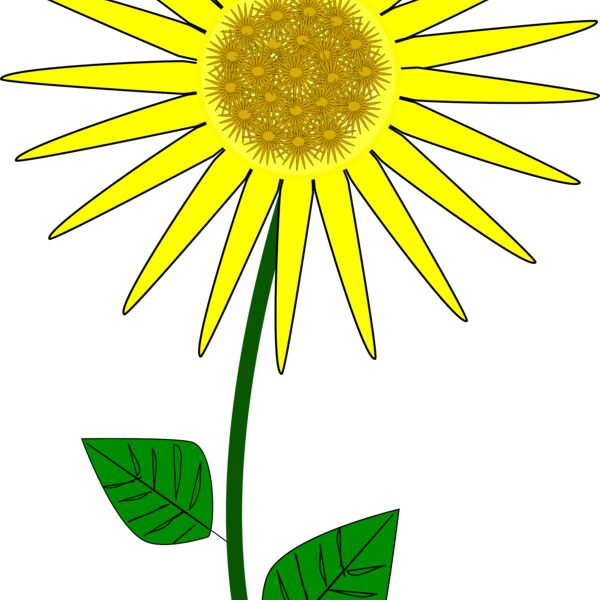 1277568265  2  Thumbnail