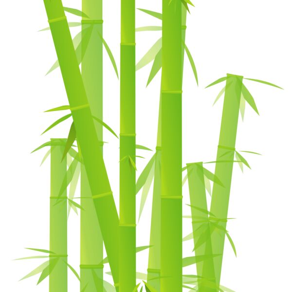 1344790645  2  Thumbnail