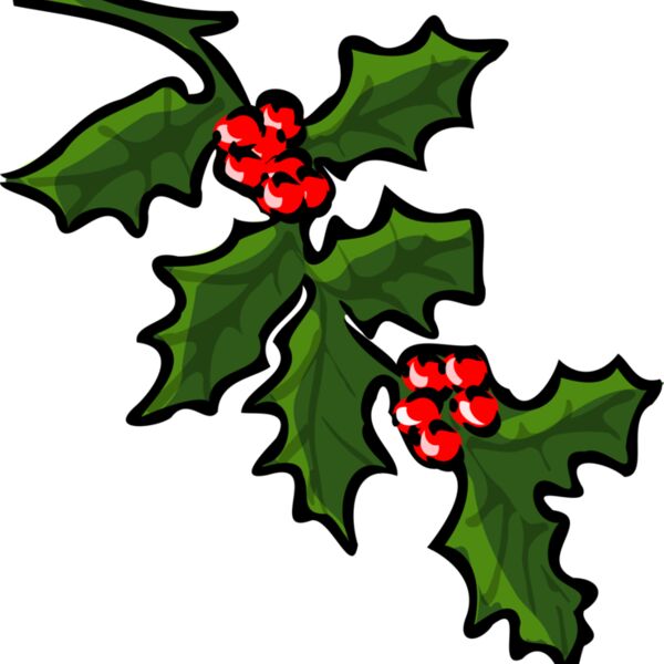 TheresaKnott holly 1 Thumbnail