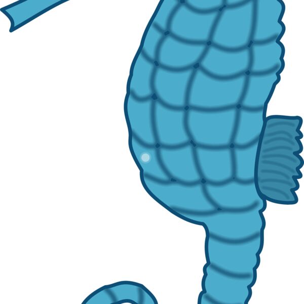 seepferdchen1 Thumbnail