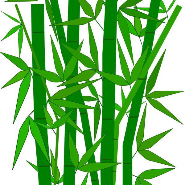 1276359753  2  Thumbnail