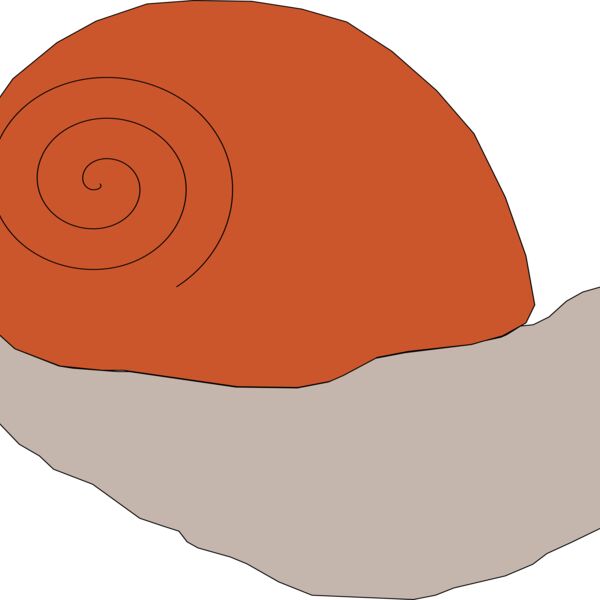 Machovka snail1 Thumbnail
