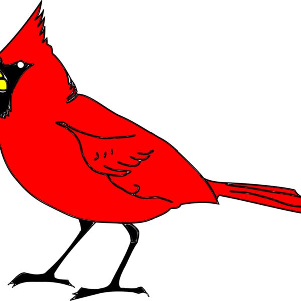 RobGTX Cardinal remix 1 plain Thumbnail