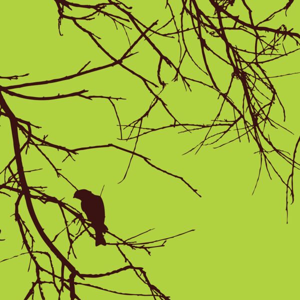 037 branch bird 204830397  2  Thumbnail