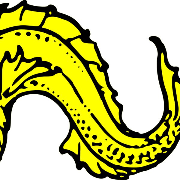 szquirrel dolphin naiant Thumbnail