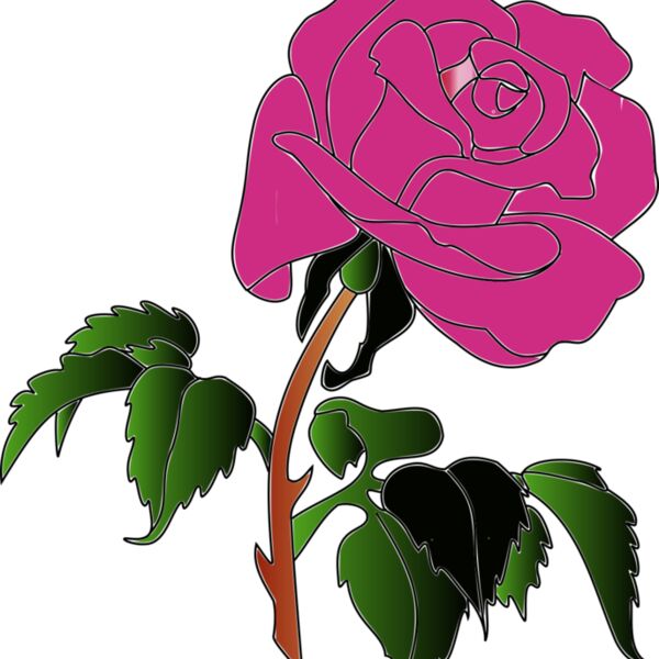 0016 aw rose070908 01 coloris2  2  Thumbnail