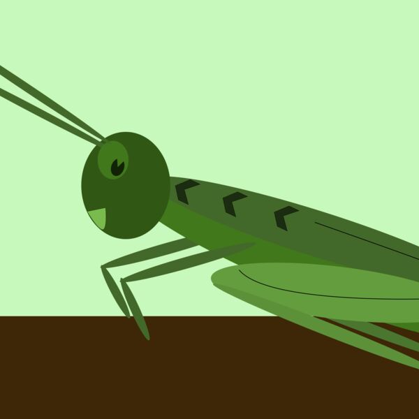 me4tanik grasshopper Thumbnail